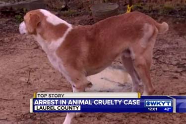 enemies legged four friends continued investigation trooper pratt residence removed dogs inside had