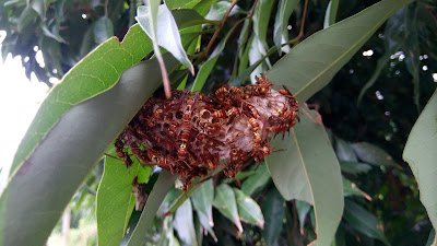 法律設計呈現的價值問題