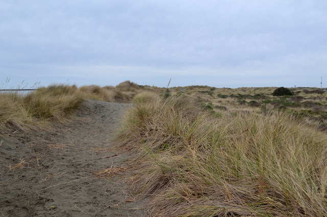 trail through the dunes