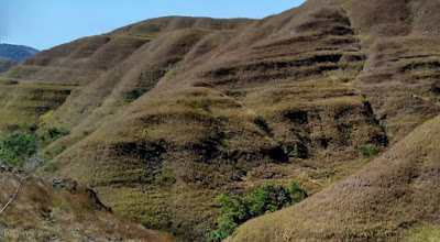 Sumba Island Is A Beautiful And Happy Collecting My Photographs Sumba Island Is A Beautiful And Happy Collecting My Photographs