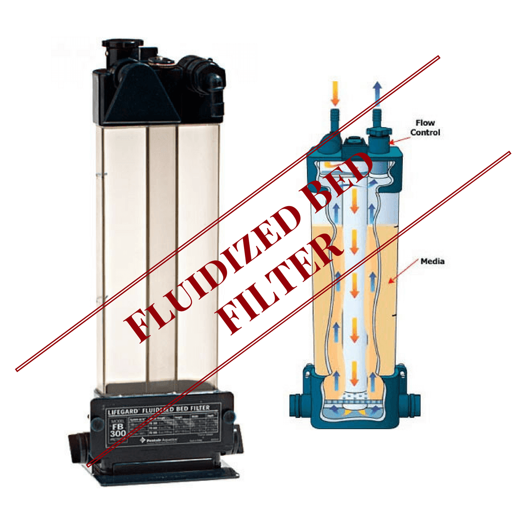 Aquarium Fish Index saltwater