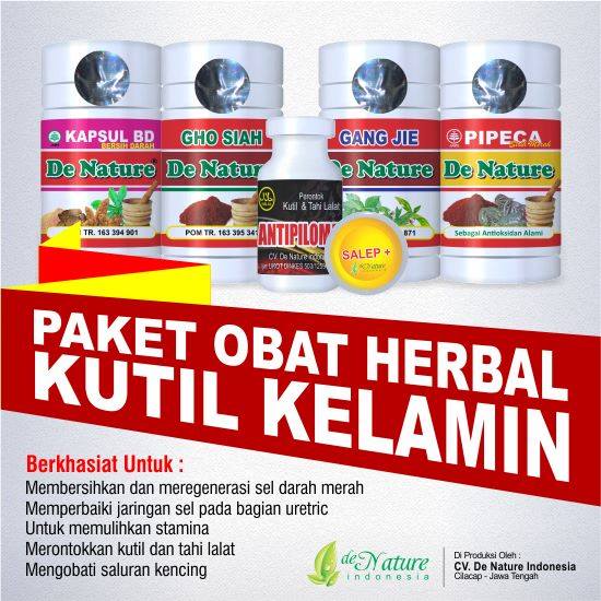 Obat kutil kelamin herbal Obat kutil kelamin herbal