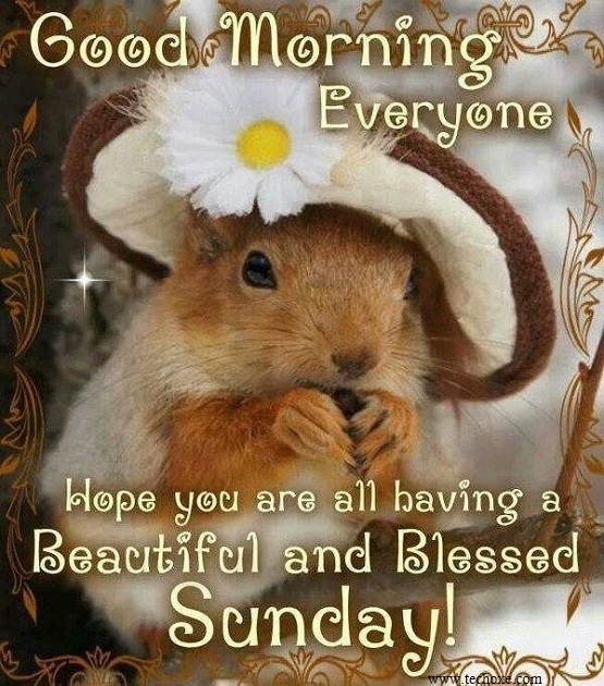 Happy weekend wishes for a loved one Happy weekend wishes for a loved one