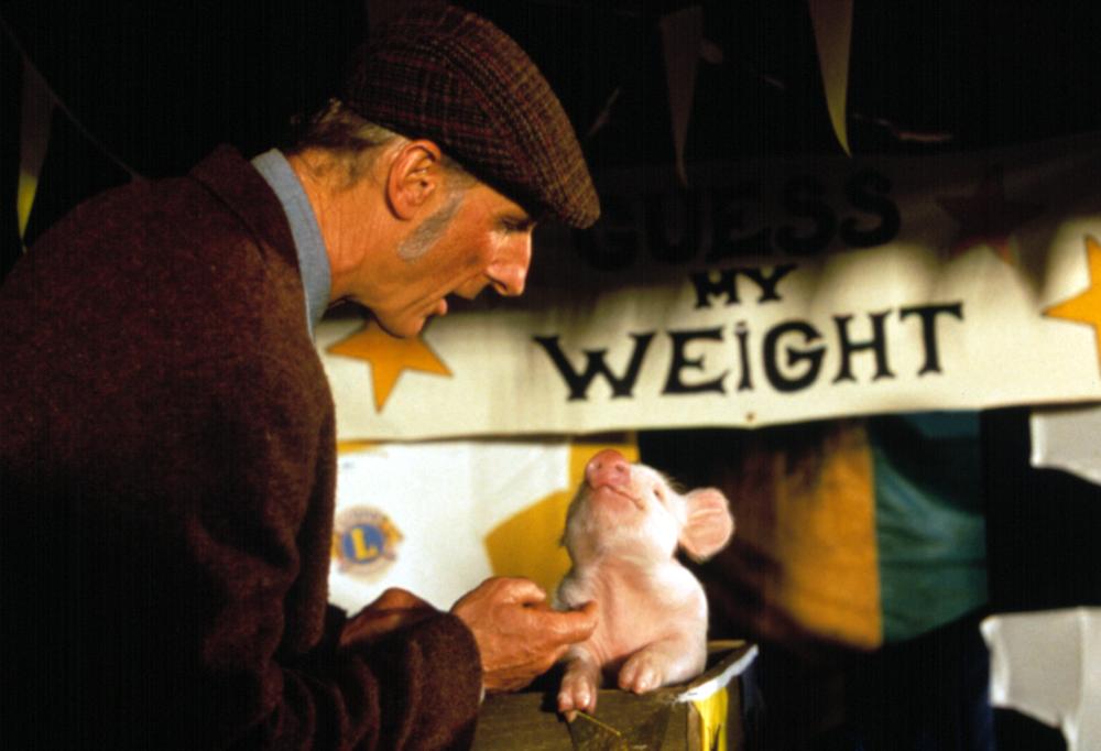 Babe (1995) Review, Best Family Movie Ever!!