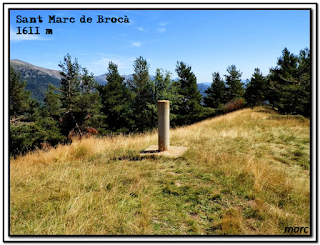 Siguenos en Facebook