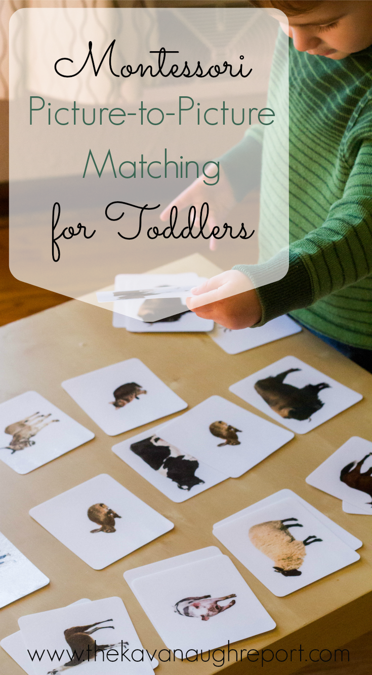 Picture-to-picture matching is a great, simple activity for a Montessori toddler. This is the final type of matching work for toddlers in the Montessori curriculum.
