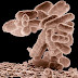 RNA sequencing strategy provides insight into microbiomes