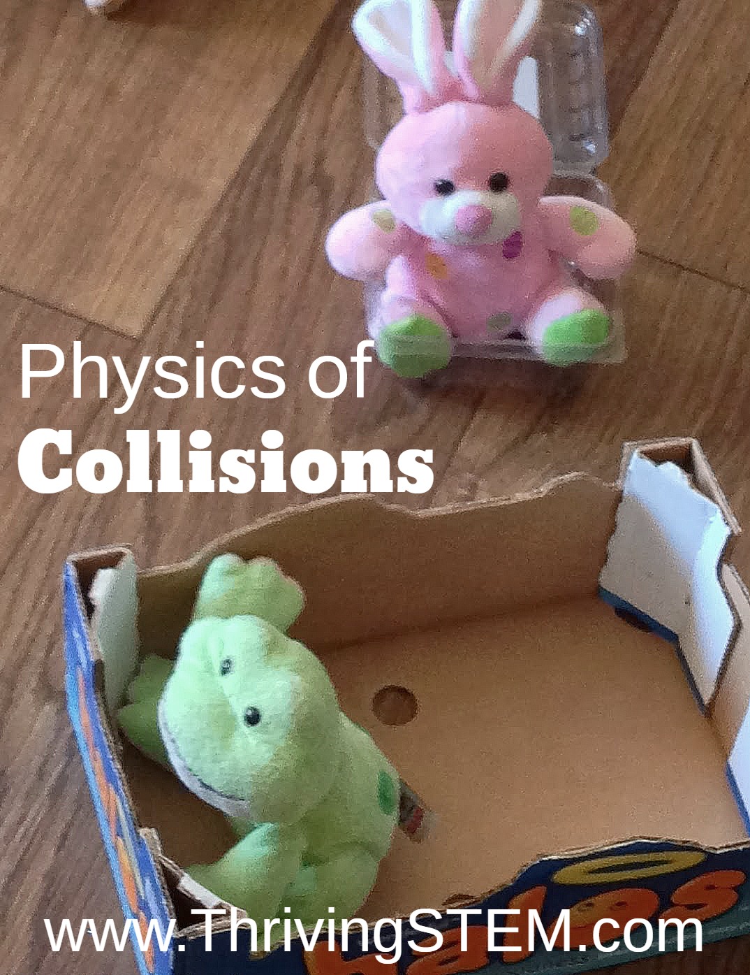 Stuffed Animal Bumper Cars Thriving STEM