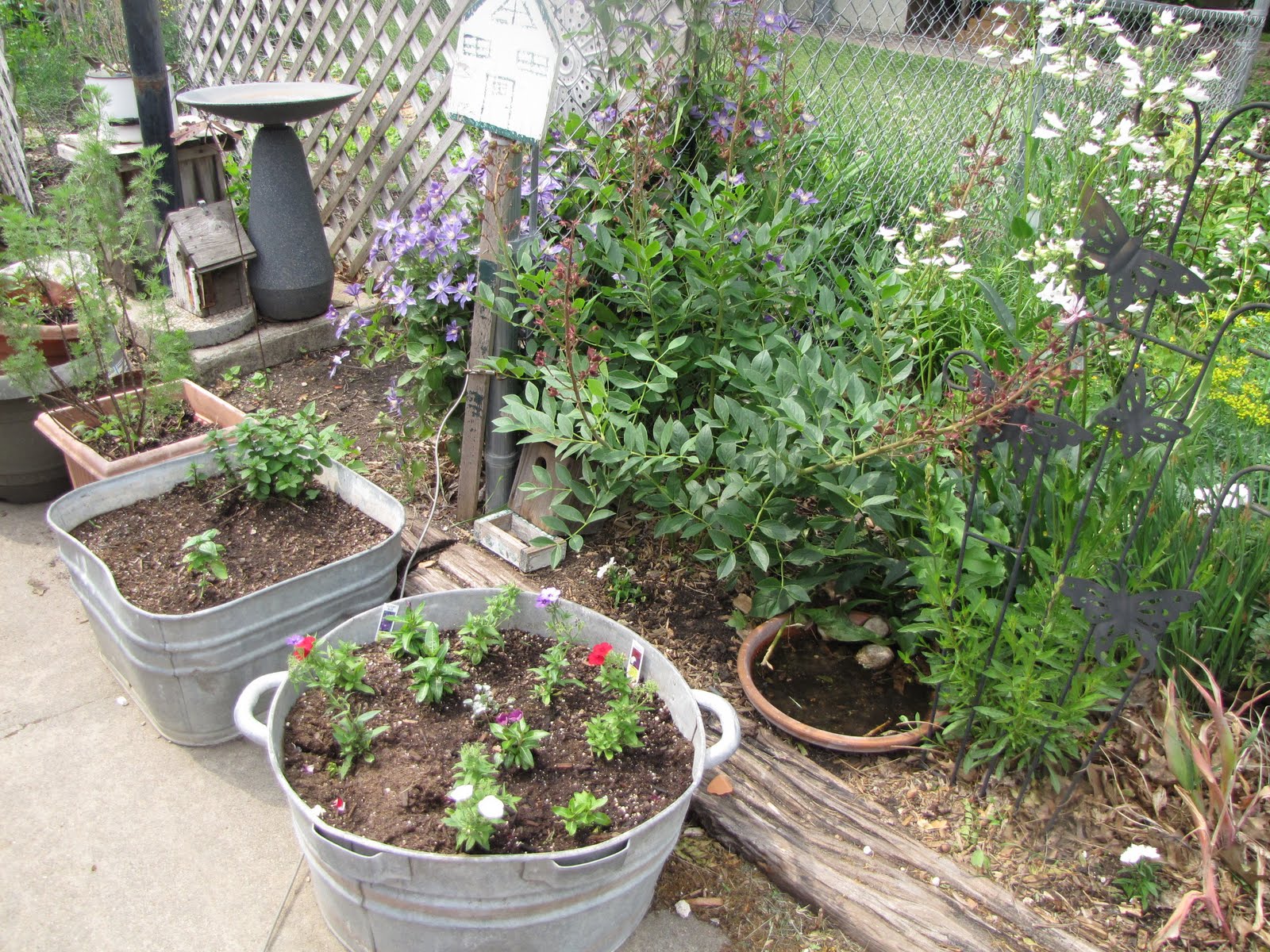 A Corner Garden Vegetable Garden