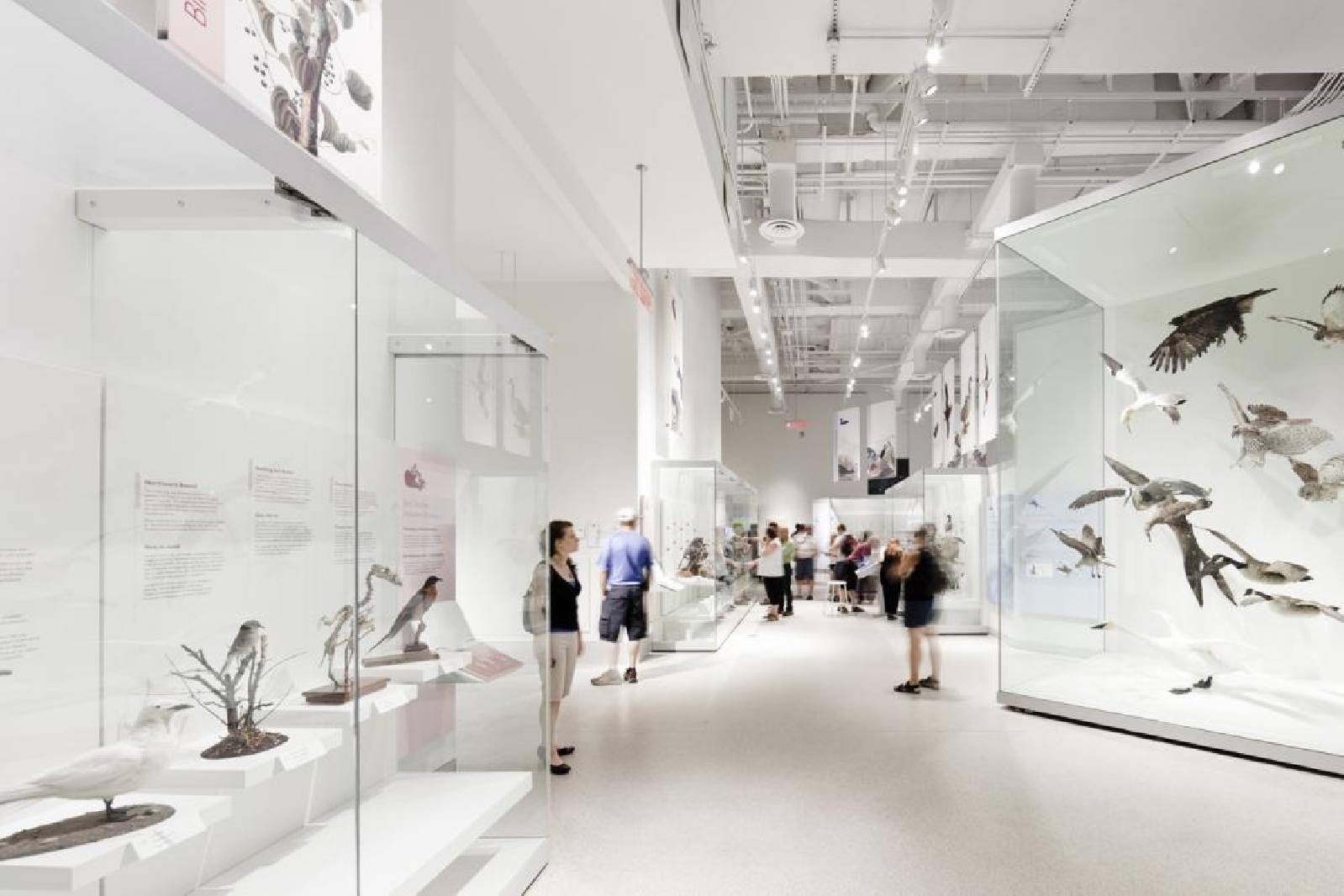 architecture now and The Future CANADIAN MUSEUM OF NATURE BY KPMB ARCHITECTS architecture now and The Future CANADIAN MUSEUM OF NATURE BY KPMB ARCHITECTS