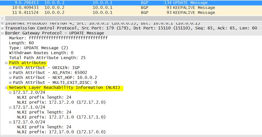 iPackets.net: BGP4 AFI/SAFI Numbers and Captures of BGP Updates