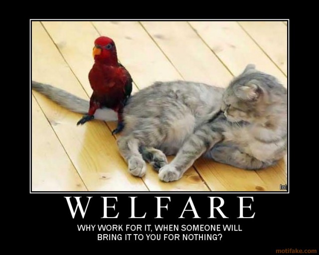 Cats Because People Suck Memes Cats Because People Suck Memes