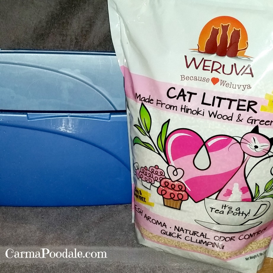 Carma Poodale CatTeaPotty Weruva Hinoki and Green Tea Cat Litter