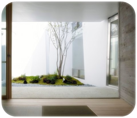 Contoh model taman minimalis dalam rumah Contoh model taman minimalis dalam rumah
