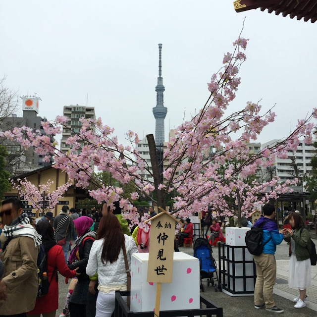 東京観光:浅草寺から東京スカイツリーが見える
