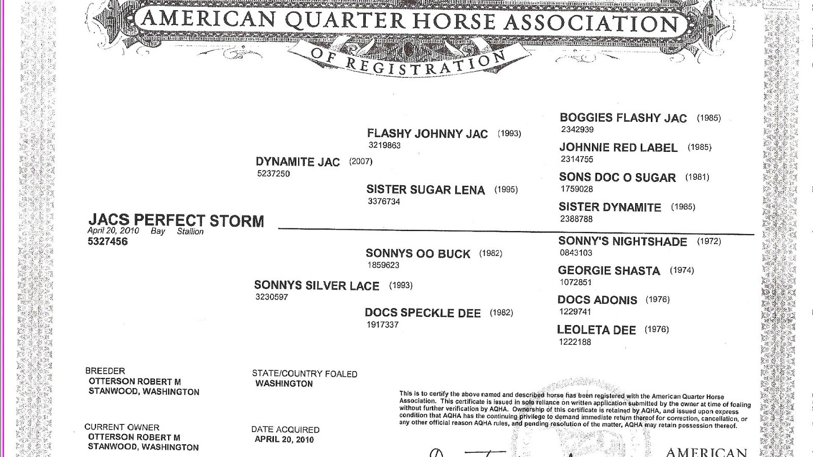 Gelding Names Bay Horse Horse Choices