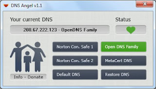 DNS Angel - activare DNS