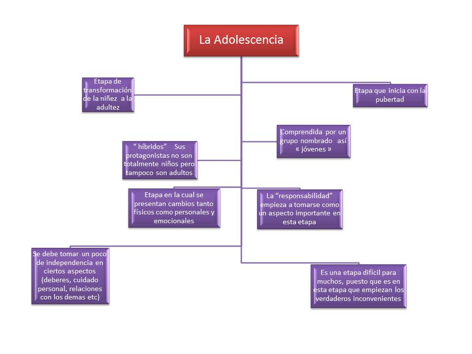 Mapa Conceptual De La Adolescencia Guia Paso A Paso Images