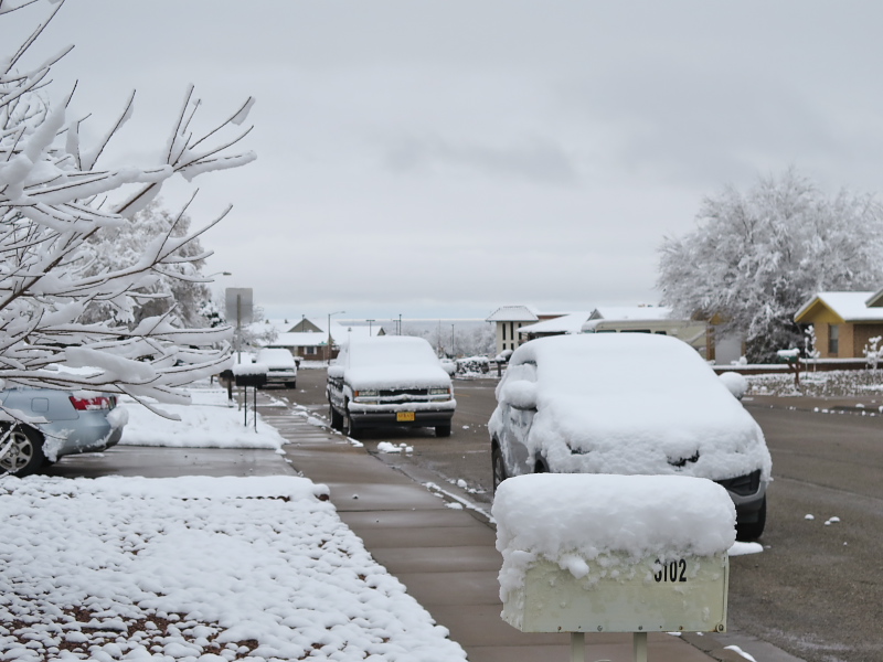 Carla's blog Four Inches of Snow in Alamogordo, New Mexico