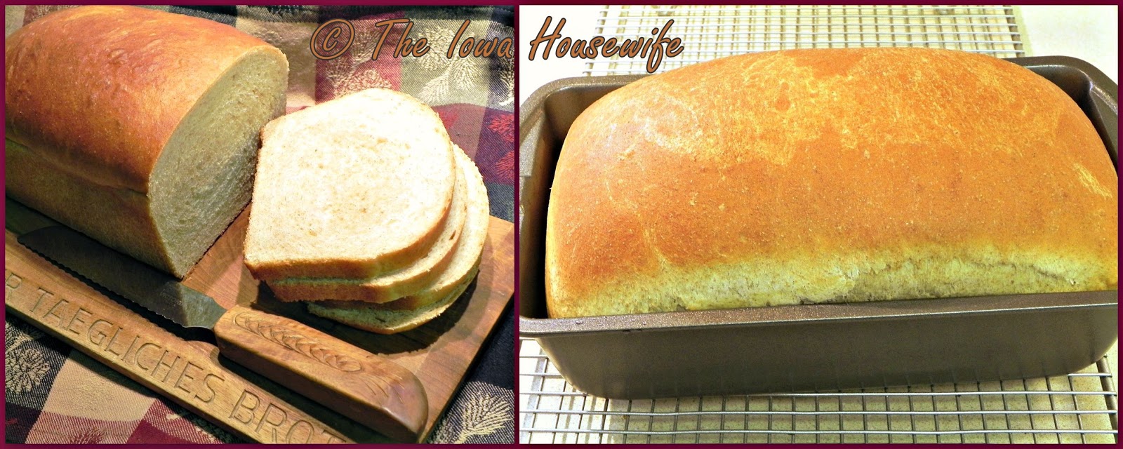 The Iowa Housewife Honey Wheat Bread 1 loaf in the food processor