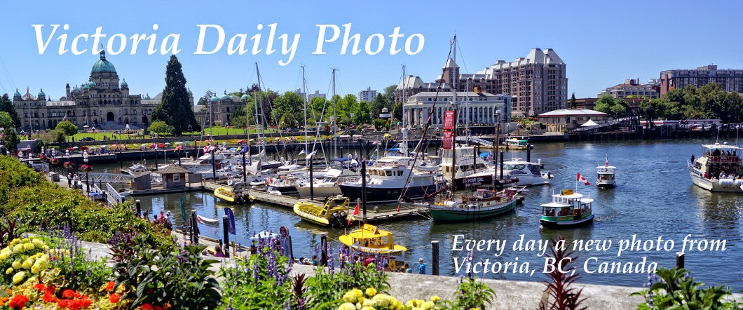 Daily horoscope section in Chicago Tribune