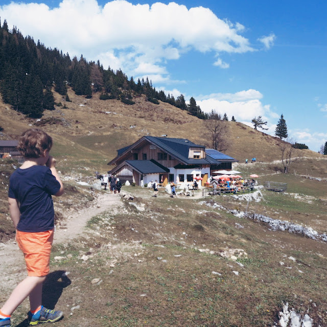 Grinsestern, Achensee, Tirol, #visittirol, Tirolliebe, Urlaubstipp, ausflugstipp, tirol erleben, bergliebe, berg, mountain, achensee tourismus