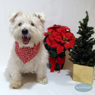 Peppermint Candy Christmas Dog Bandana