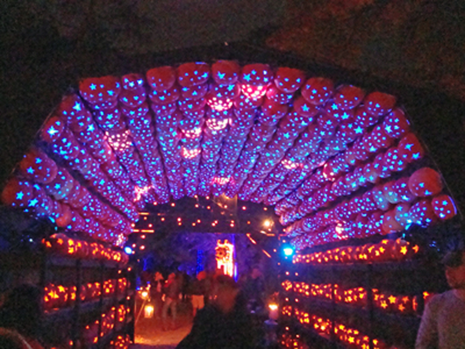 Colleen's reflections