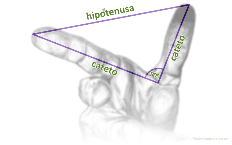 Hipotenusa de los dedos