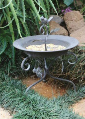 Feed the Birds in Garden Feed the Birds in Garden