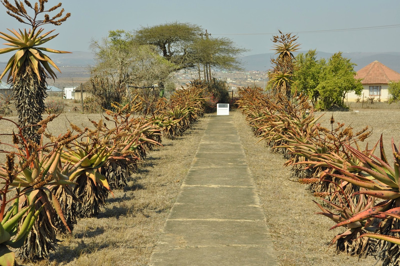 Walking the Battlefields Ulundi The End of the Old Zulu Order (1879)