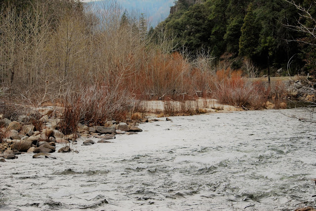 It's all downstream from here. photo © Mark Butkus 2018