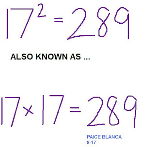 817 Math Blog (2011): Paige's Scribepost