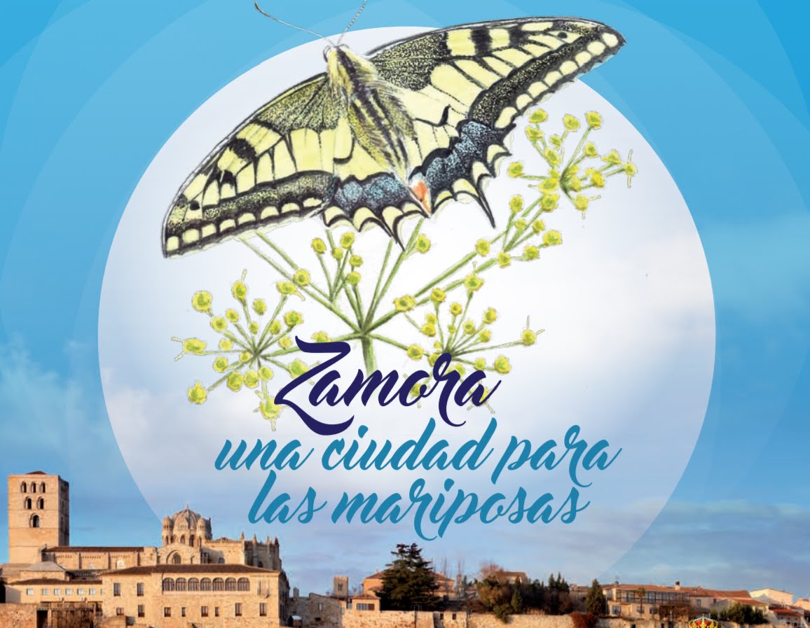 Zamora: una ciudad para las mariposas