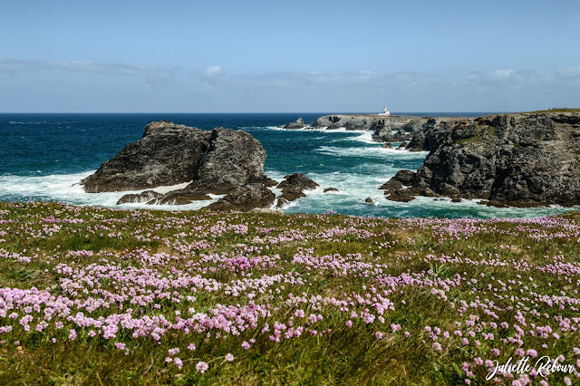 Pointe des Poulains à Belle Ile en mer