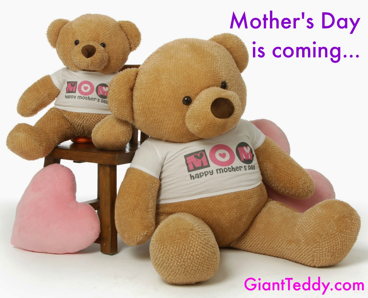 Mother's Day Bears