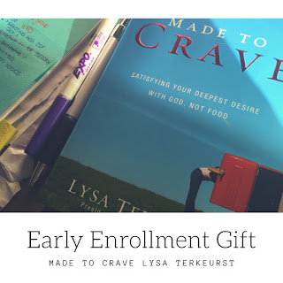 Made to Crave Support Group Lysa Terkeurst, Made to Crave Support, Made to Crave book, Katy Ursta, One Fit Fighter