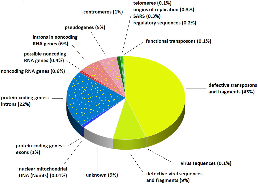 Genome Chart