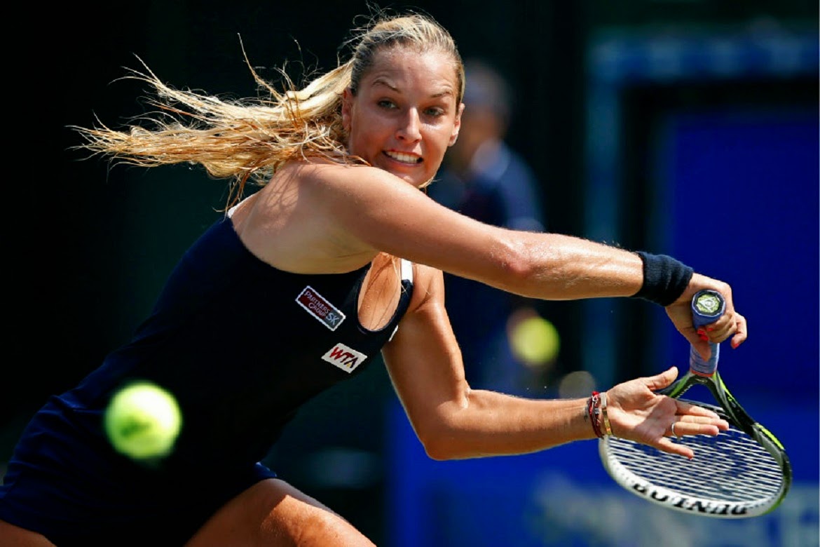 Free Download HD Wallpapers Dominika Cibulkova Slovak Professional