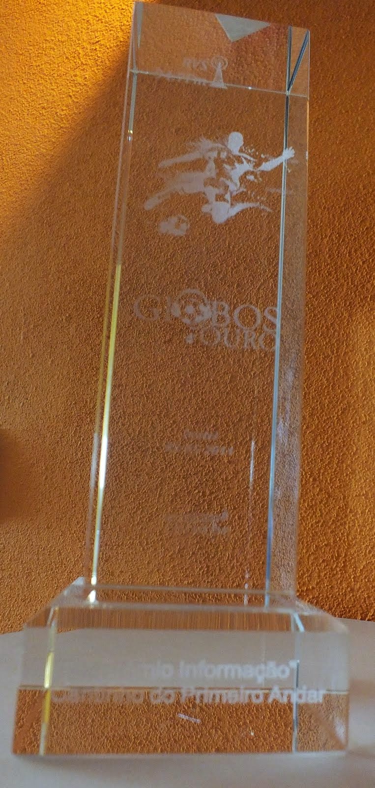 Globo de Ouro 2014 "RVS"