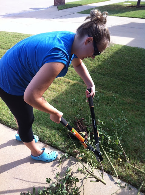 The Traylor Parks Blog: Front Yard Landscaping