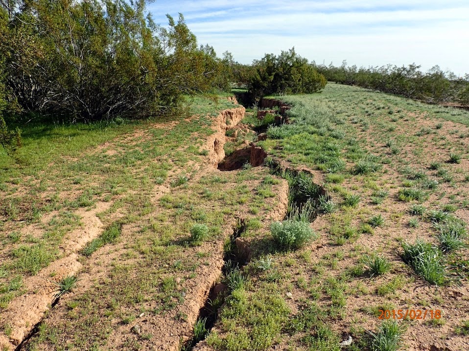 Arizona Geology: New earth fissure activity documented