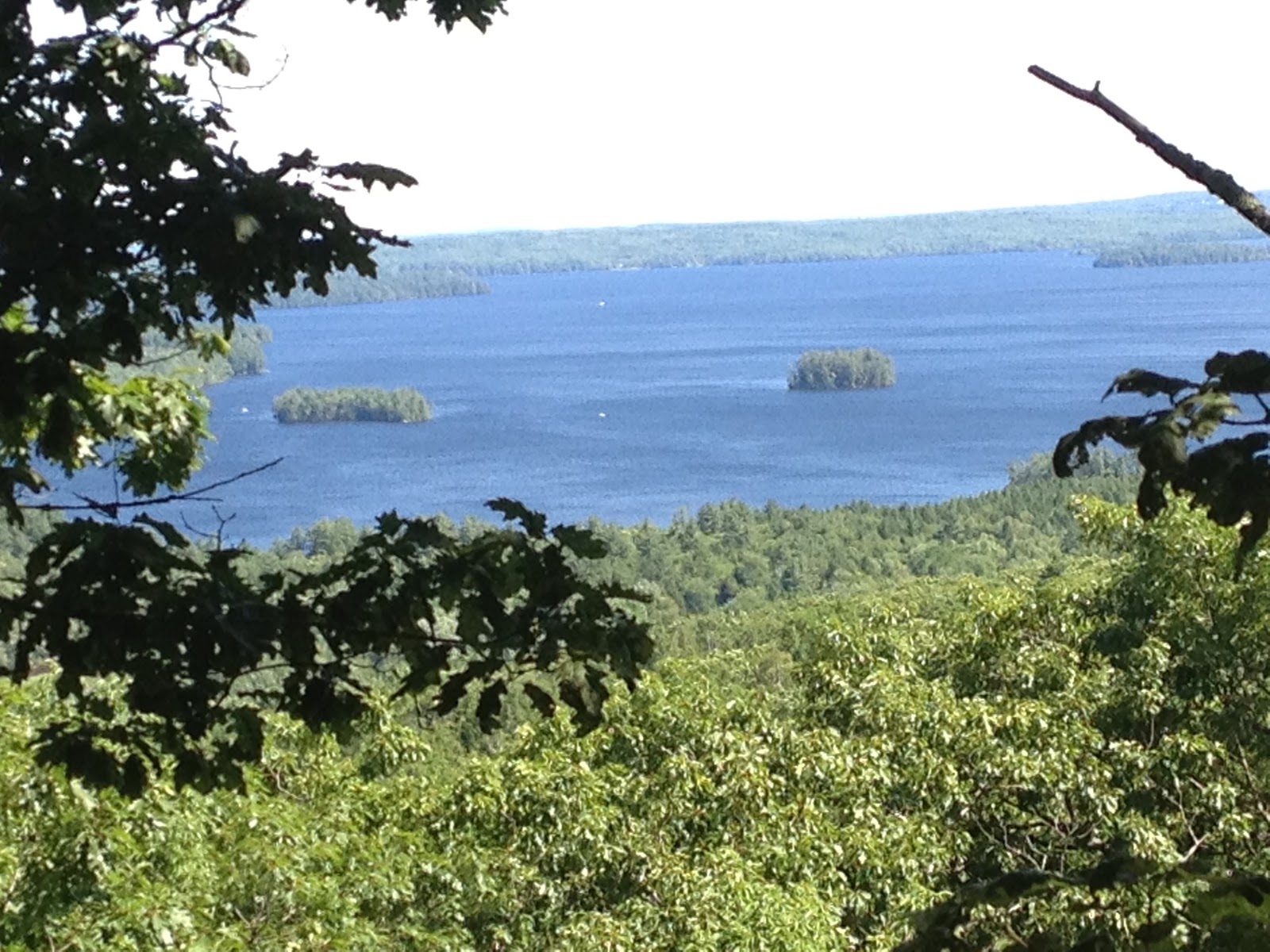 Moose in Maine Hiking in Belgrade Lakes