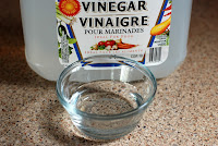 White Vinegar Pet Stains White Vinegar Pet Stains