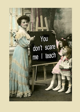 You Don't Scare Me I Teach