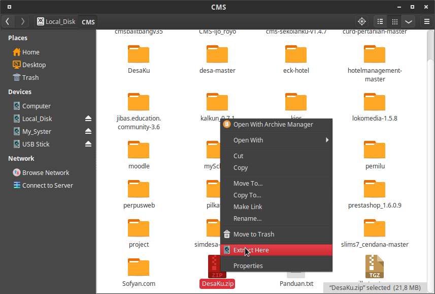 Cms file. Cms filemanager.