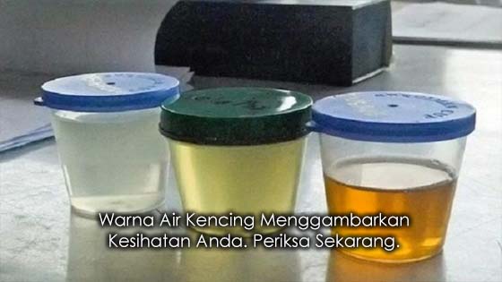 76+ Gambar Allah Warna Ungu Terbaik 76+ Gambar Allah Warna Ungu Terbaik