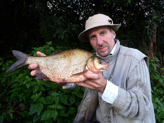 A rare Coventry Canal rudd x bream hybrid