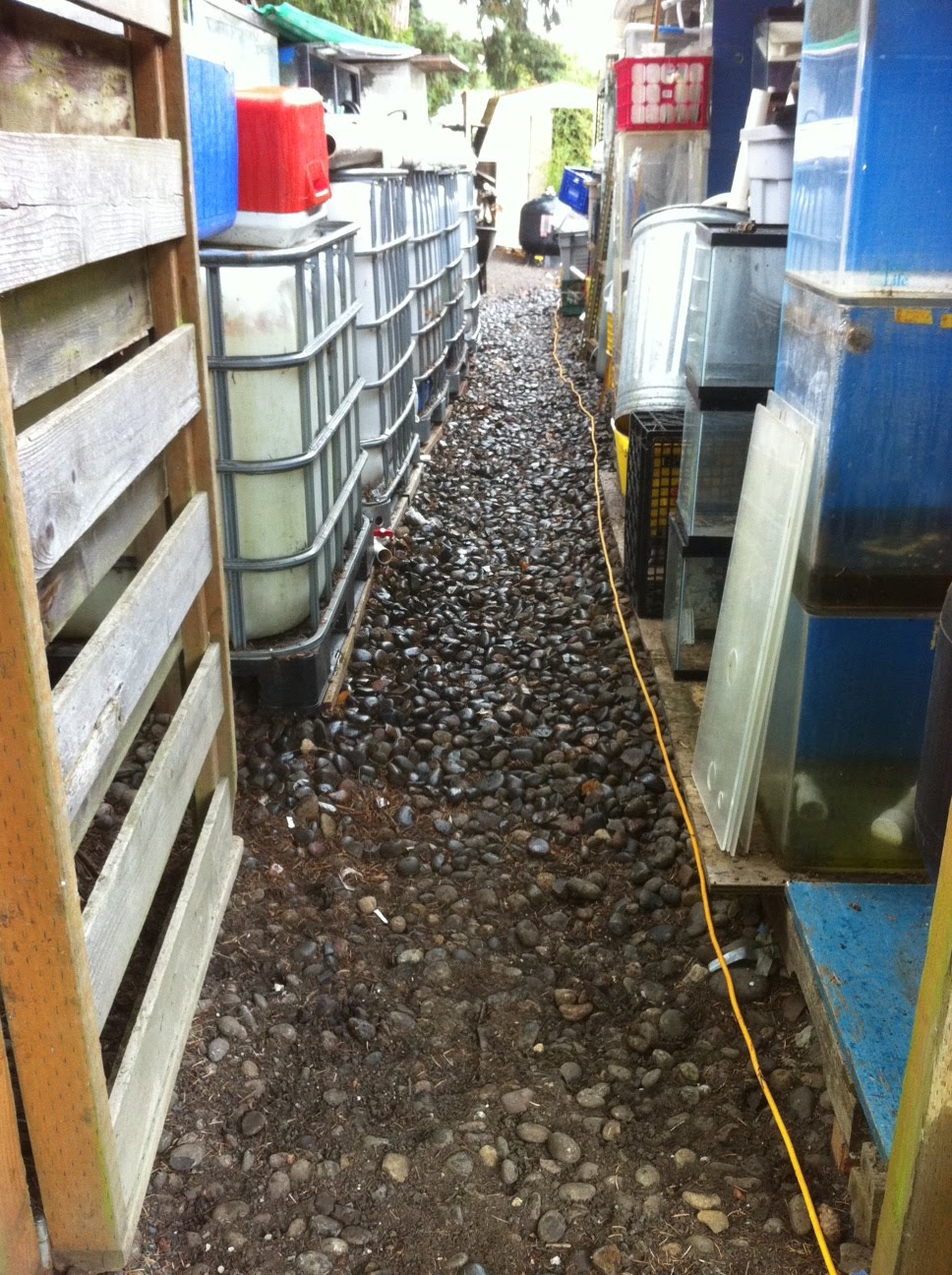 1 Yard Of Gravel Coverage [] Home Improvement