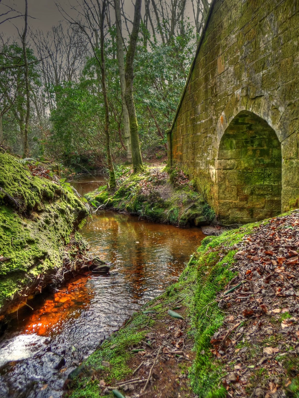 Dusty Boots and Muddy Paws (Too) Spring time walk (Chelwood Vachery)